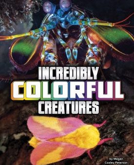 Incredibly Colorful Creatures Fashion