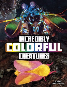 Incredibly Colorful Creatures Fashion