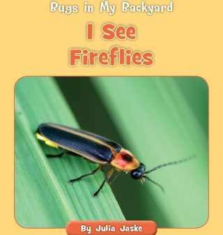 I See Fireflies Online Sale