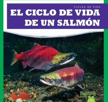 El ciclo de vida de un salmon  A Salmon s Life Cycle Online Hot Sale