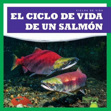 El ciclo de vida de un salmon  A Salmon s Life Cycle Online Hot Sale