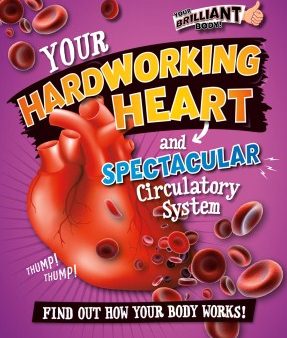 Your Hardworking Heart and Spectacular Circulatory System Supply