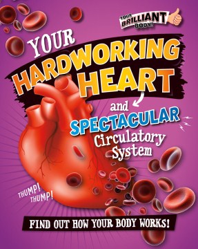 Your Hardworking Heart and Spectacular Circulatory System Supply