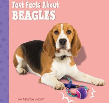 Fast Facts About Beagles Fashion