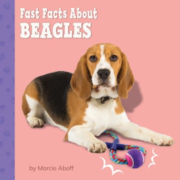 Fast Facts About Beagles Fashion