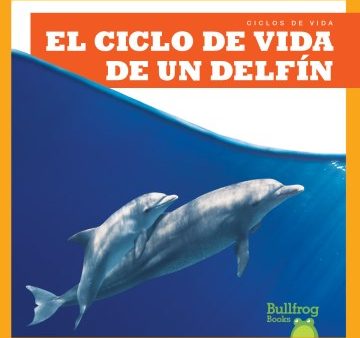 El ciclo de vida de un delf?n  A Dolphin s Life Cycle For Discount