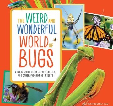 The Weird and Wonderful World of Bugs Cheap