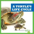 A Turtle s Life Cycle For Cheap