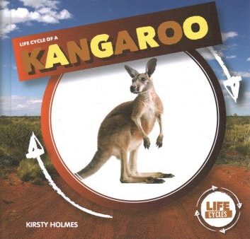 Life Cycle of a Kangaroo For Sale