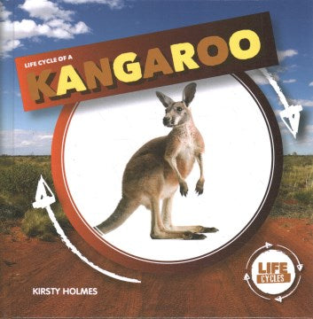 Life Cycle of a Kangaroo For Sale